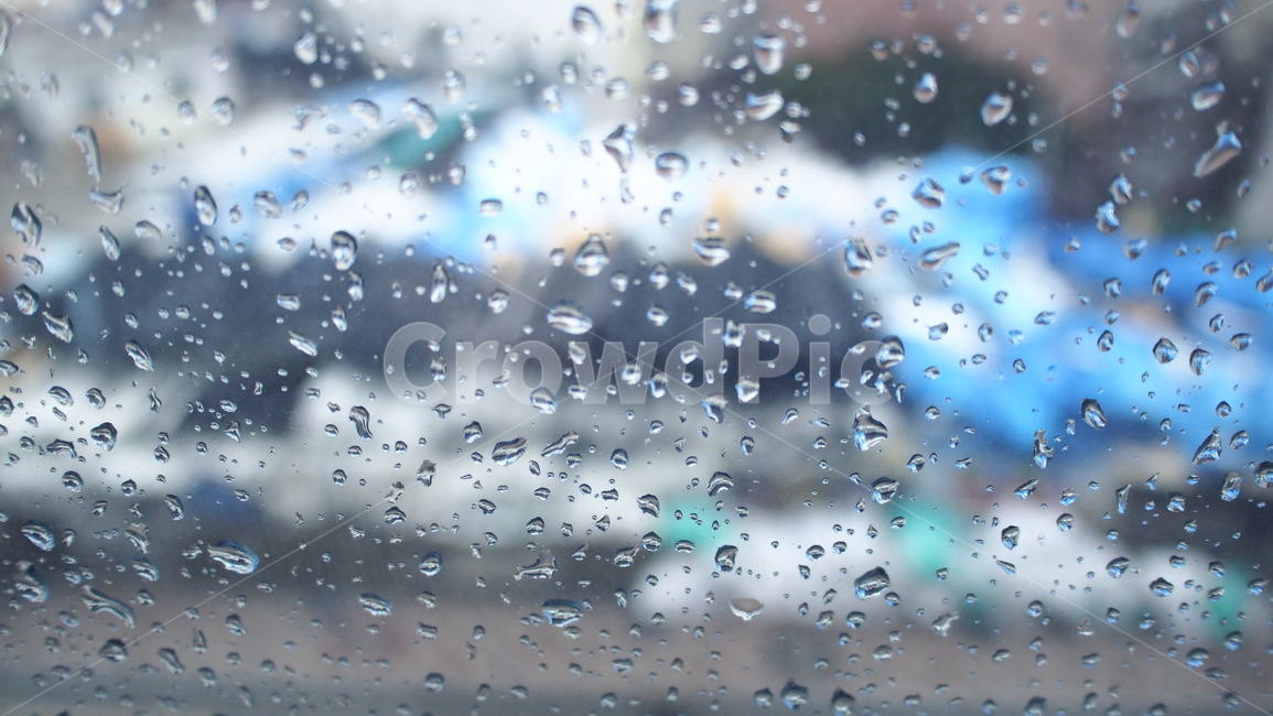 비,빗물,깨끗함,싱그러움,창문,유리창,비,비오는날,rain,rainy
