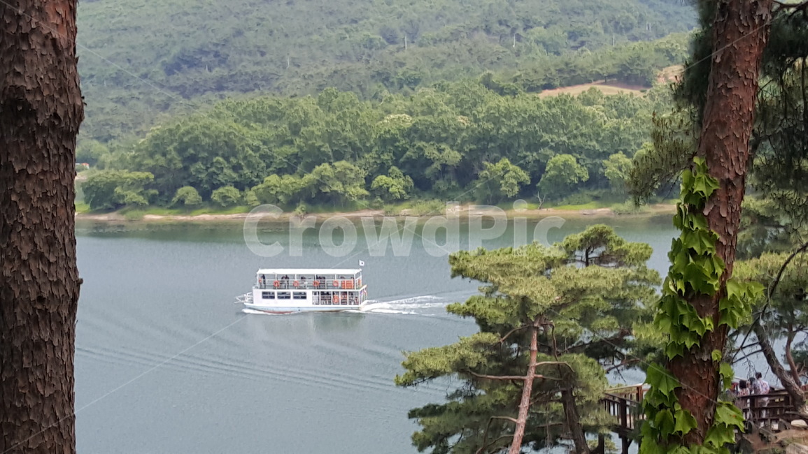 배,유람선,호수,산막이나루,산,나무,풍경,충청도,국내,소나무,자연,풍경,nature,landscape,boat,보트,transportation,교통,vehicle,차량