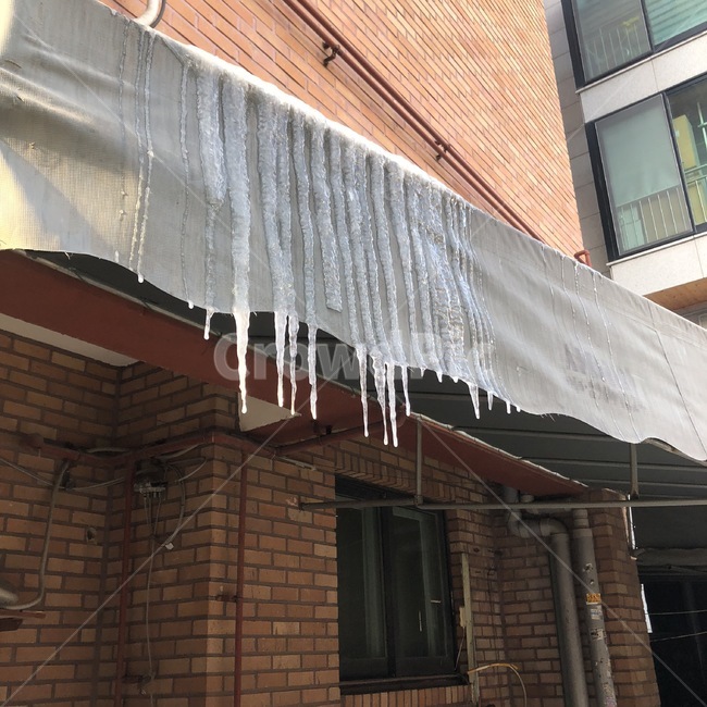 고드름,겨울,추위,한파,겨울감성