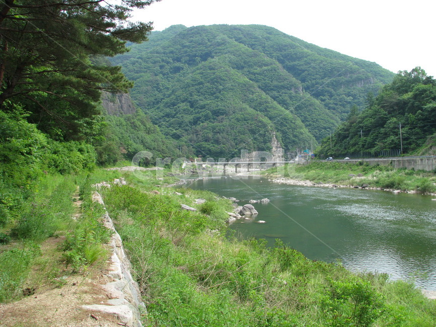 시냇가,시냇물,청량산,cheongryangmountain,트래킹,자연,풍경,nature,landscape,한국자연풍경,한국자연경관,korea nature landscape,outdoors,옥외,water,물