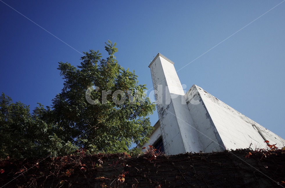 nature,자연,sky,하늘,blue,파란,푸른,파란하늘,푸른하늘,덩쿨,담장,green,tree,나무,식물,plant,leaf,잎,white,건축물,건물외관,exterior,building,structure,architecture,construction