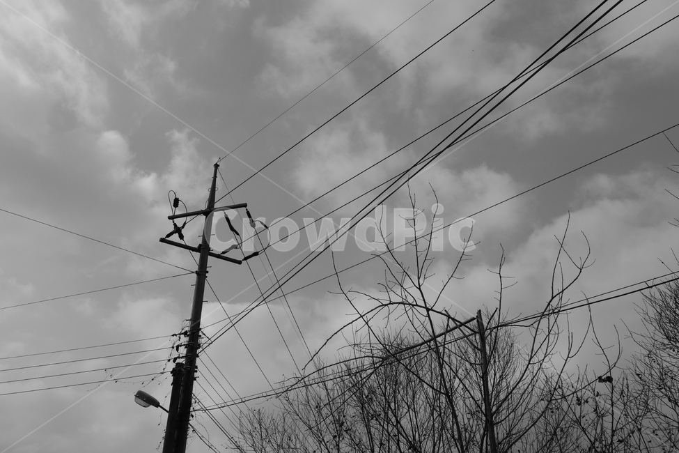 전신주,utilitypole,가로등,전기줄,날씨,흑백,모노톤,monochrome,black and white
