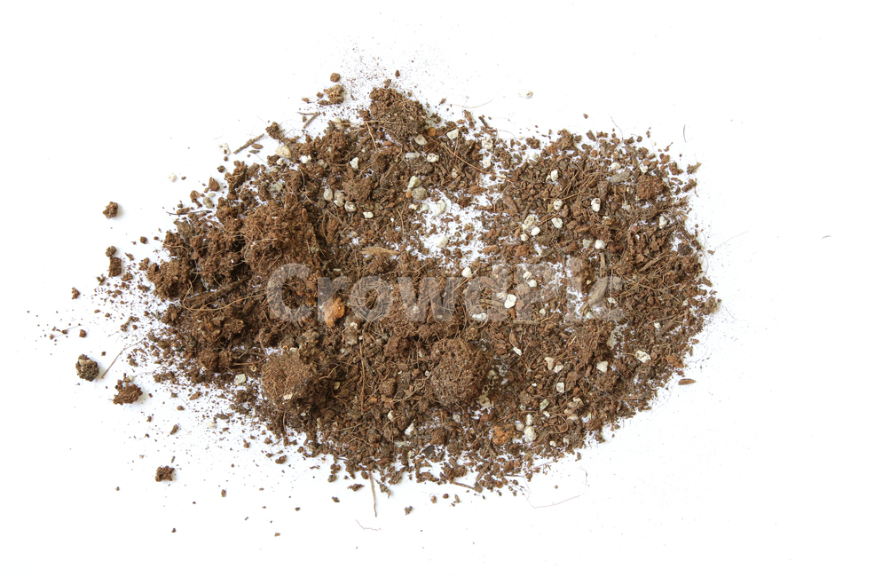흙,모래,soil,sand,soiltexture,덩어리,탑앵글,흰배경,누끼,가루,흙가루,모래가루,갈색,브라운,텍스춰,건조한,black,botany,brown,closeup,compost,dark,dirt,dirty,dry,dust,grain,heap,humus,ingredient,macro,mineral,nobody,object,organic,path,powder,splash,spray,texture,topview,toxic,뿌린,누끼,remove background