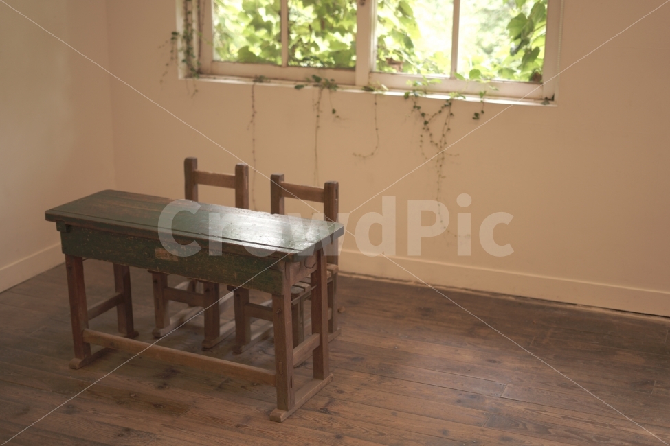 책상,의자,창문,나무,덩쿨,인테리어,실내디자인,interior design,사물,물건,오브젝트,thing,object,matter
