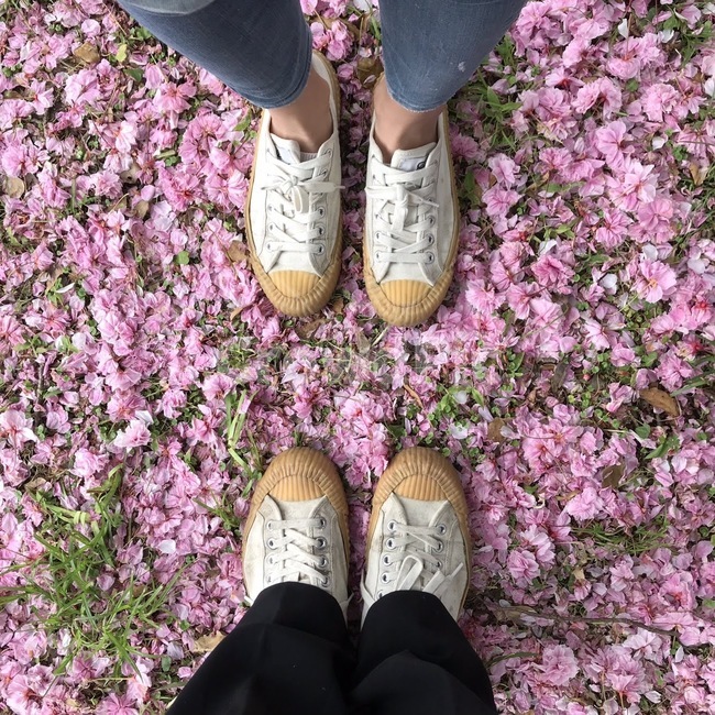 겹벚꽃,커플,pinkblossom,신발,clothing,의류,의복,신발류,footwear,shoe,구두,apparel