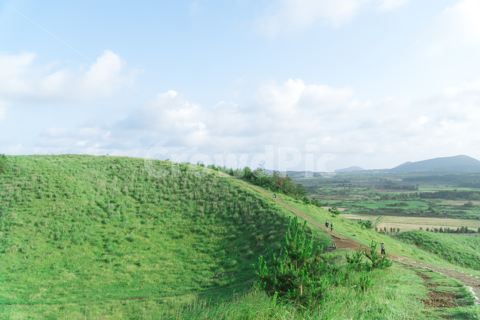 grassland,목초지,옥외,nature,자연,들,field,오름,제주도,제주,자연,풍경,nature,landscape