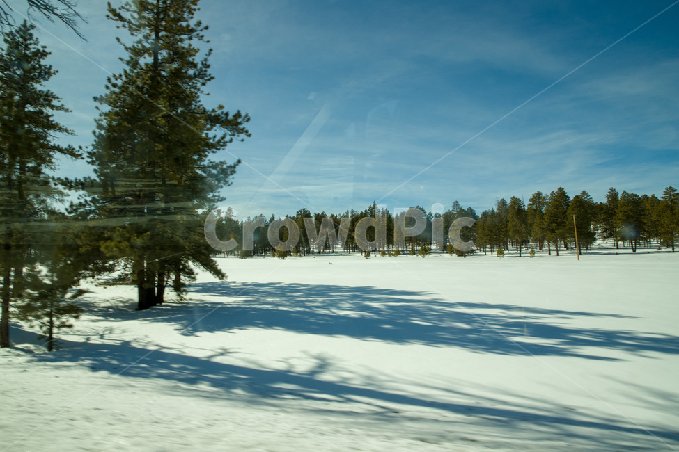 rural,natural,wood,background,beautiful,blue,cold,forest,frost,ice,landscape,light,mountain,nature,outdoor,park,scenic,season,sky,snow,sun,sunlight,sunny,tree,trees,usa,utah,view,white,winter,미국,유타,눈,겨울,자연,나무,야외,숲