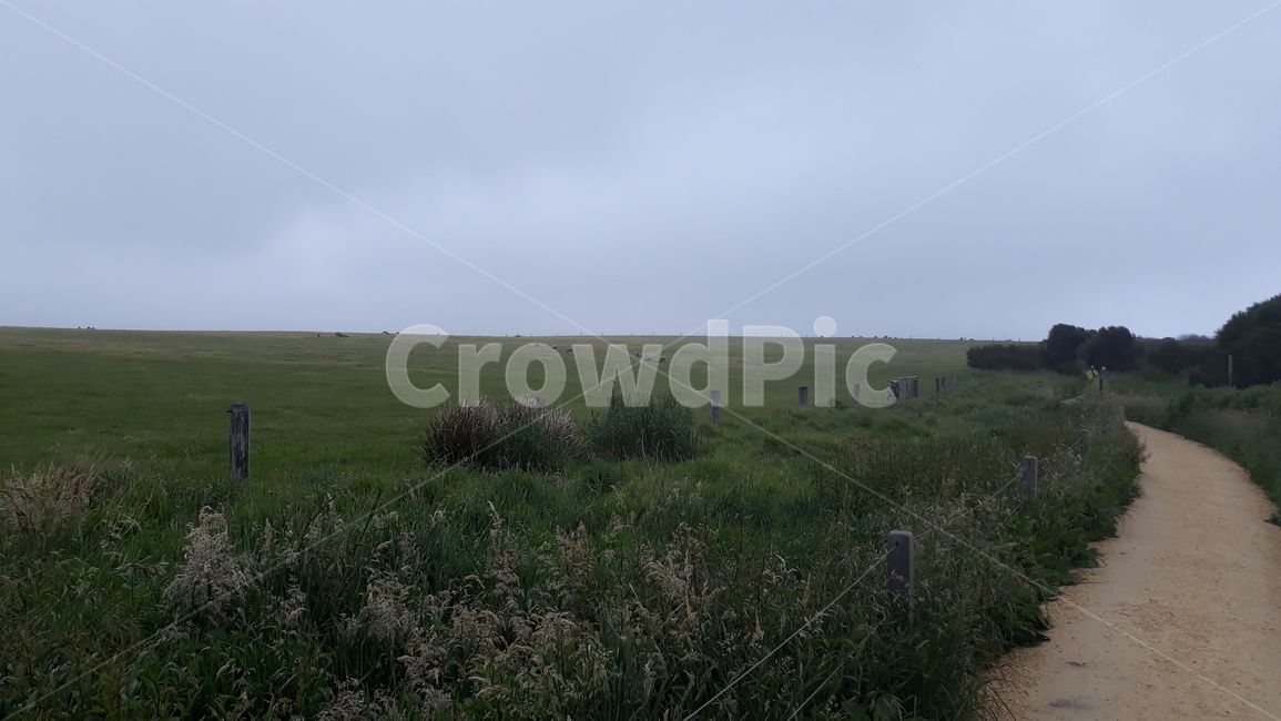 산책,길,오솔길,교외,한적함,일요일,산책길,산보,휴식,자연,자연,풍경,nature,landscape,grassland,목초지,field,들,outdoors,옥외