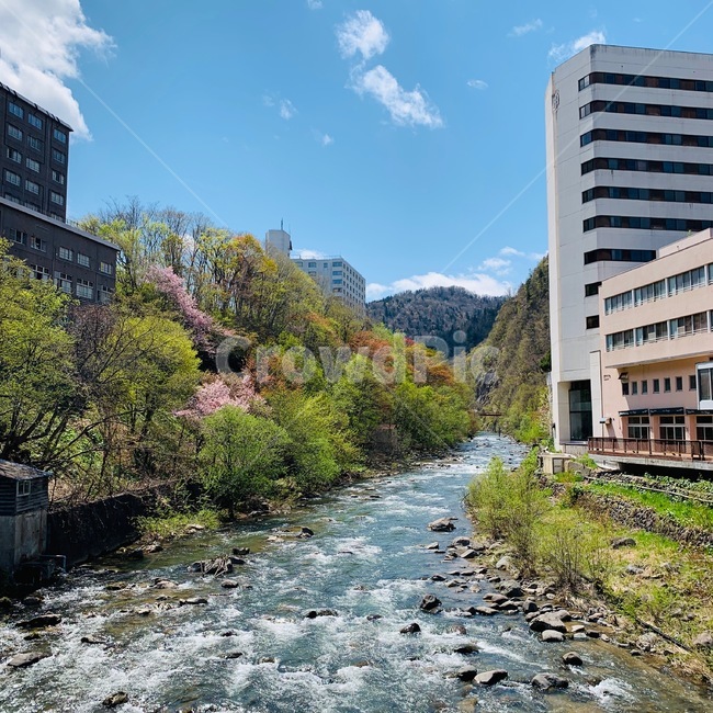 일본,삿포로,봄,풍경,강,시냇물,벚꽃,하늘,sapporo,japan,river,landscape,outdoors,옥외,자연,물,nature,경치