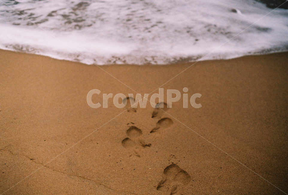 발자국,바다,바닷가,파도,해변,해변,바다,beach,sea