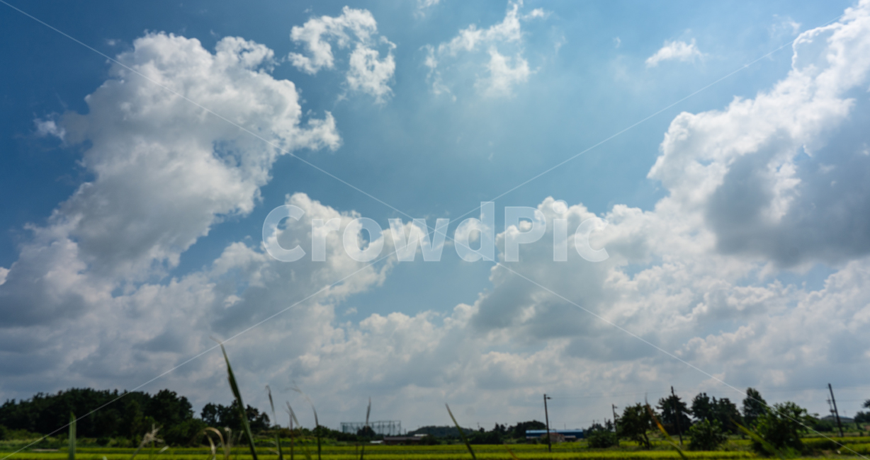 sky,cloud,하늘,구름,자연,풍경,자연,풍경,nature,landscape,식물,plants,outdoors,옥외,weather,날씨,cumulus,적운
