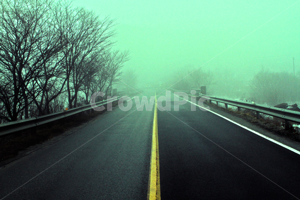 안개,도로,아스팔트,지방도로,간선도로,겨울,계절,winter,season,교통,교통수단,traffic,transportation,road,freeway,고속 도로,highway,고속도로,nature,자연