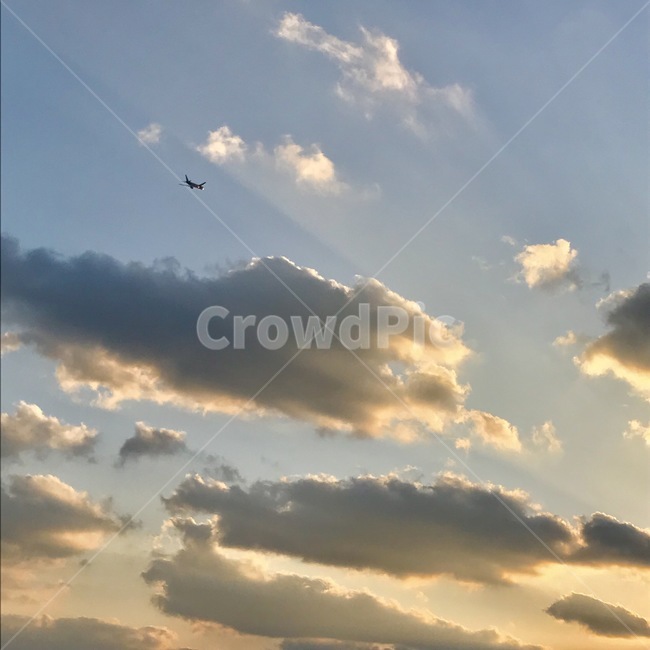 하늘,비행기,노을,구름,저녁,자연,풍경,nature,landscape,outdoors,옥외,light,빛,flare,플레어,sunlight,햇빛
