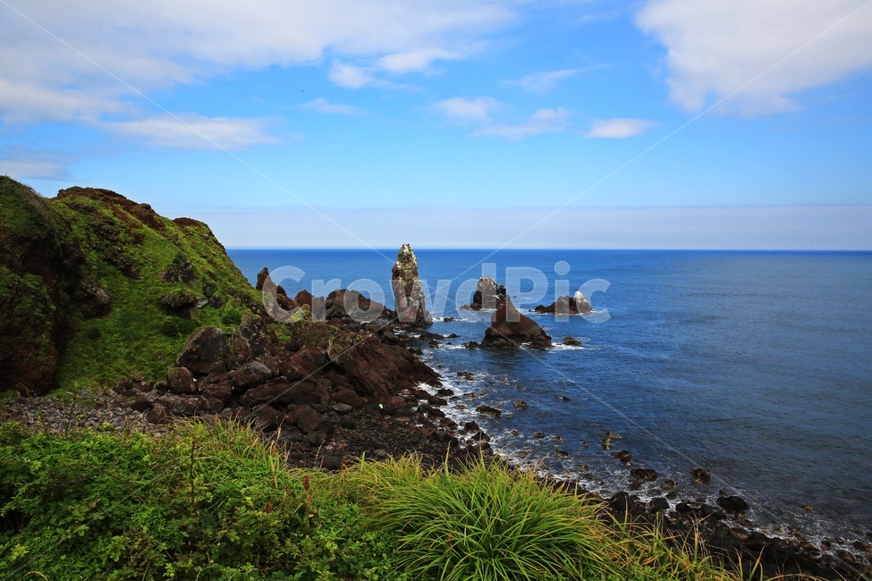 promontory,곶,nature,자연,outdoors,옥외,grass,잔디,plant,식물,ocean,대양,sea,바다,water,물,shoreline,해안선,제주,섭지코지,해변,자연,풍경,nature,landscape