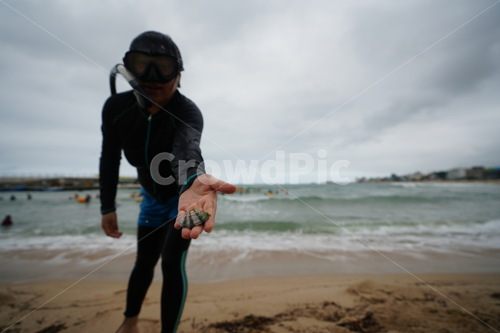 바다,해수욕장,조개,손,해변,물,sea,생물,여인,자연,풍경,nature,landscape,해변,바다,beach,sea,사람,인물,인간,human,person