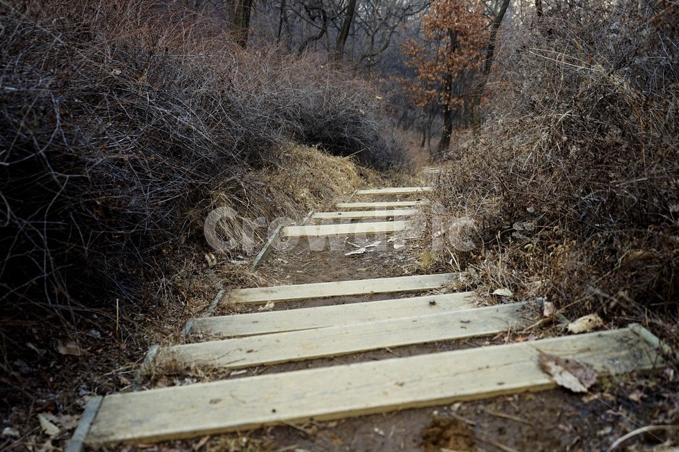 겨울산행,계절,잎,마른잎,계단,길,자연,풍경,nature,landscape
