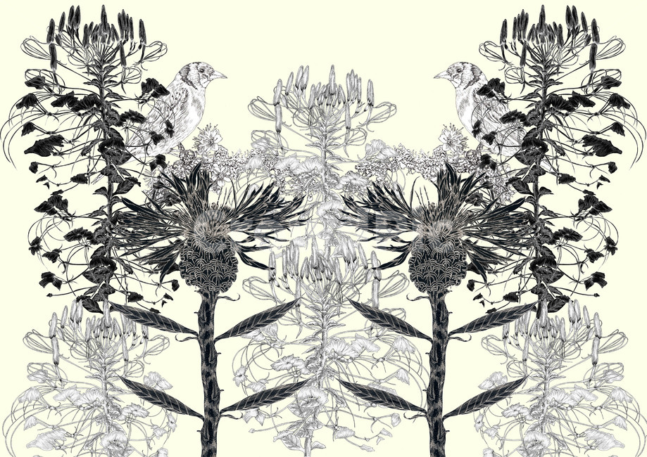 flower,흑백,그림,플라워,꽃,drawing,art,액자,그래픽,일러스트레이션,graphic,illustration