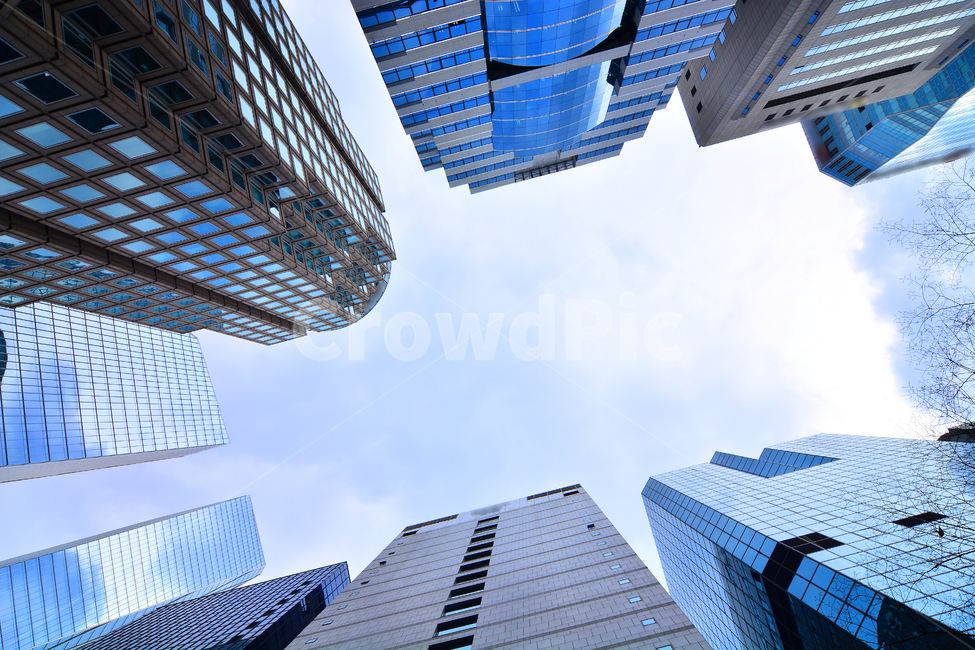 비즈니스,고층빌딩,대기업,오피스가,회사,사무실,부동산,랜드마크,마천루,중심가,업무,리스,빌딩,건축물,건물,직장,오피스텔,본사,스카이라인,창문,유리창,외관,높다,중심지,금융가,은행,블루톤,skyline,landmark,building,center,seoul,korea,business,office,company,corporation,enterprise,mainstreet,city,downtown,commercialcenter,glass,structure증권사,structure,건축물,건물외관,exterior,building,structure,architecture,construction,금융,돈,finance,banking,money,비즈니스,사업,business,service,work