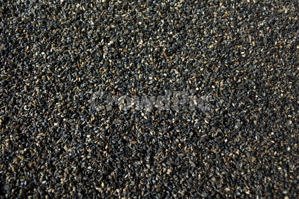 brown,closeup,dry,dummy,food,gold,grain,macro,meal,natural,nature,organic,plant,seed,seeds,sesame,sesameseed,sesameseeds,top,topangle,topview,yellow,깨,참깨,곡식,곡류,음식,음식재료,식재료,식물,씨앗,씨,갈색,브라운,말린,말리는,건조,자연,클로즈업,탑앵글,탑뷰,깨소금,농작물,농촌,농사