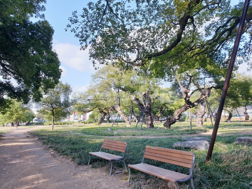 벤치,bench,공원벤치,parkbench,공원