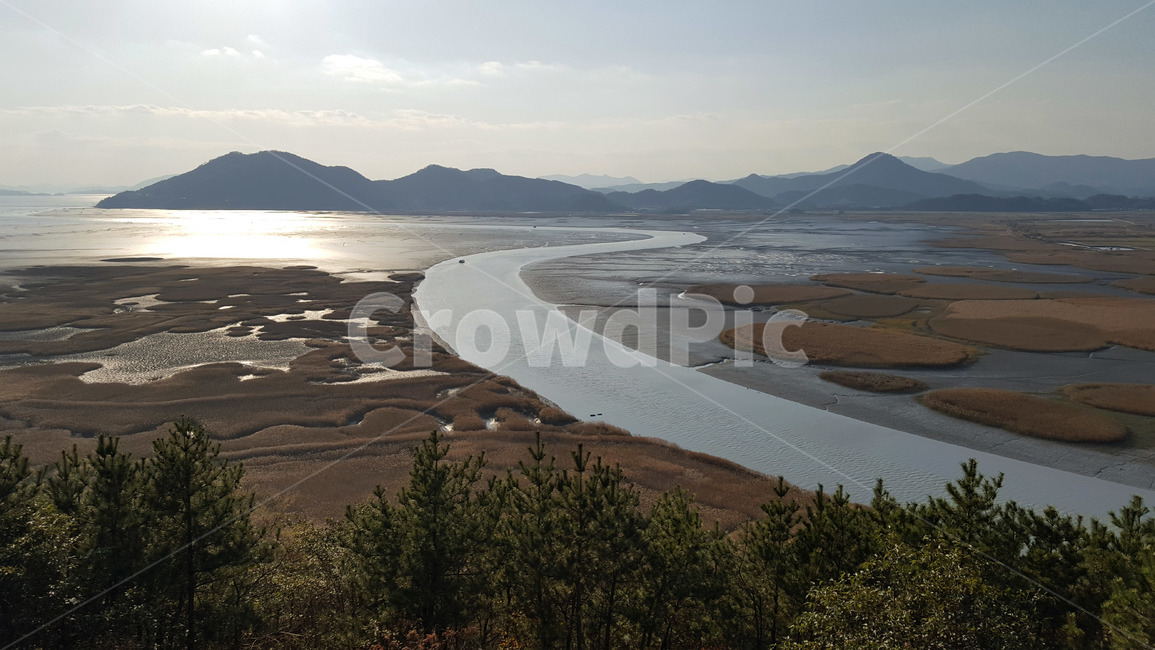 자연,풍경,순천만,갈대,바다,자연,풍경,nature,landscape