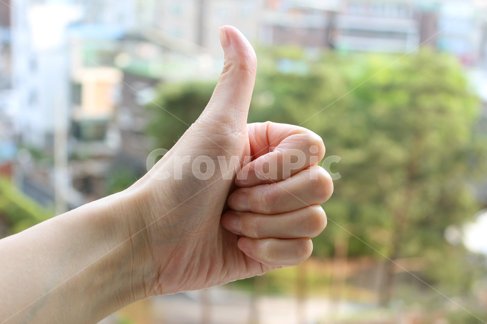 손,여자,여자손,핸드,주먹,최고,엄지,엄지손가락,손가락,팔목,신체,신체부위,인체,사람,사람,인물,인간,human,person,신체일부,몸,body,손,제스처,표시,손짓,표현,gesture,hand,sign,expression
