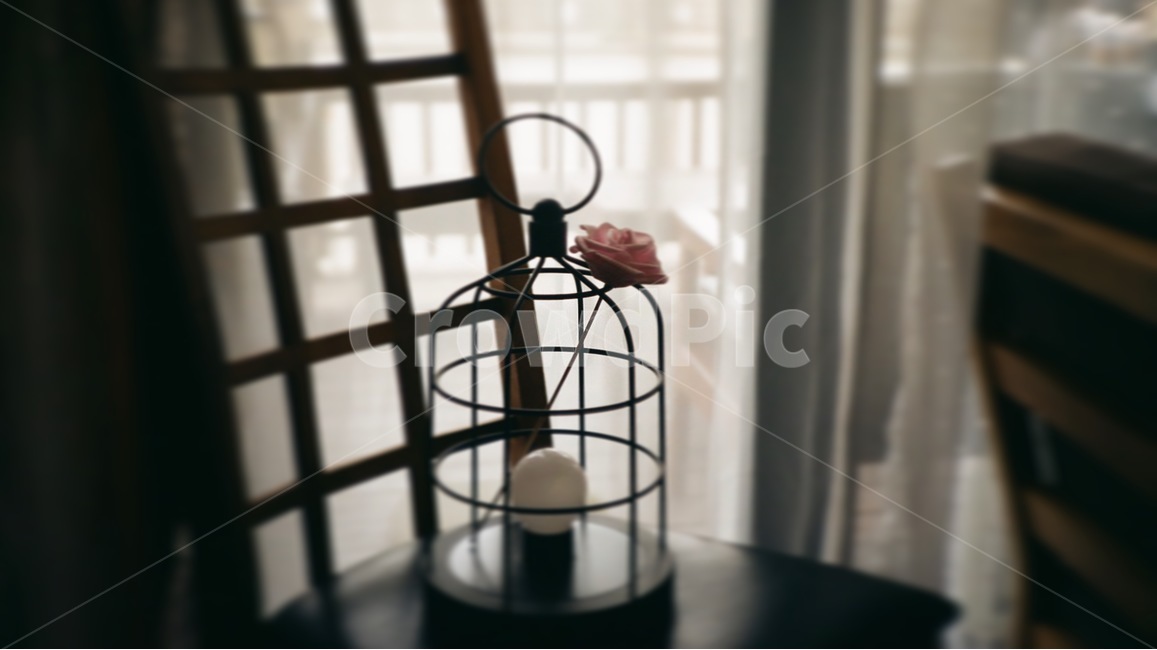 등,전등,실내,장식,꽃,새장,카페,감성,감성,sensible,feeling,인테리어,실내디자인,interior design