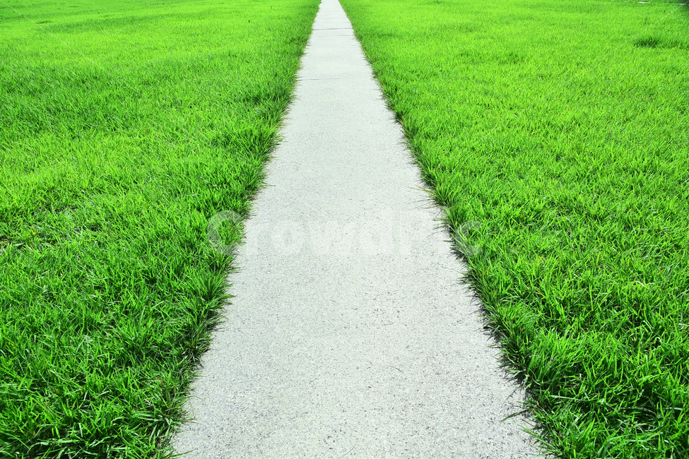 길,로드,컨셉,콘셉,road,start,beginning,background,texture,텍스쳐,질감,풀밭,잔디밭,그린,끝없는,시작,출발,concept