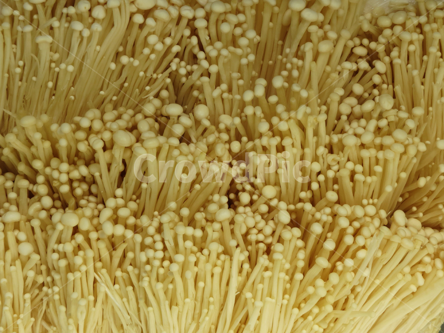 버섯,팽이버섯,텍스처,하얀,음식,건강식,음식재료,헬스케어,food,mushroom,다이어트,버섯,mushroom,음식,식재료,요리,food,cook,meal,dishes,food reserves