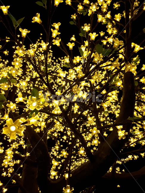 빛,꽃,light,나무,밤,전구,배경,조형물