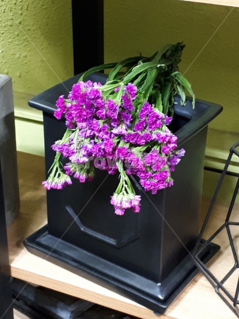 꽃,소품,flower,화분,장식,식물,자연,plants,nature,꽃,flower