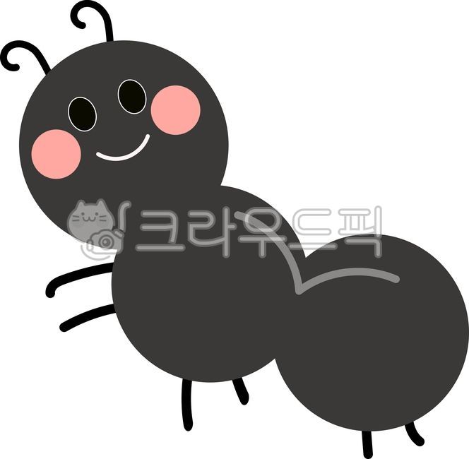 black ants,cute ant,baby ants,ant,black ant,insect,small ant