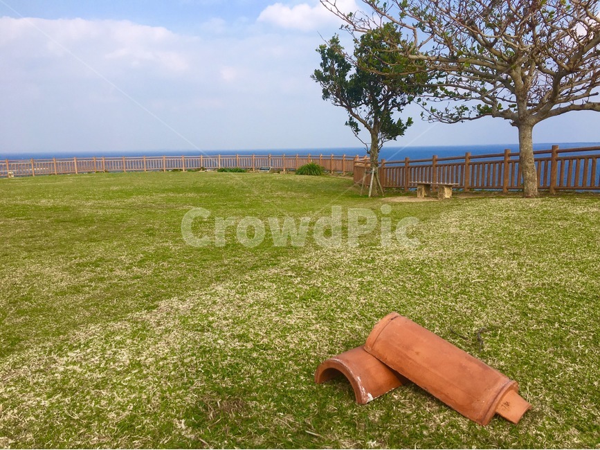 기와,나무,하늘,풍경,초원,자연,풍경,nature,landscape,plant,식물,grass,잔디