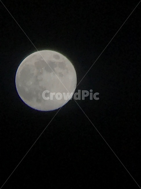달,moon,밤,달표면,자연,보름달,슈퍼문