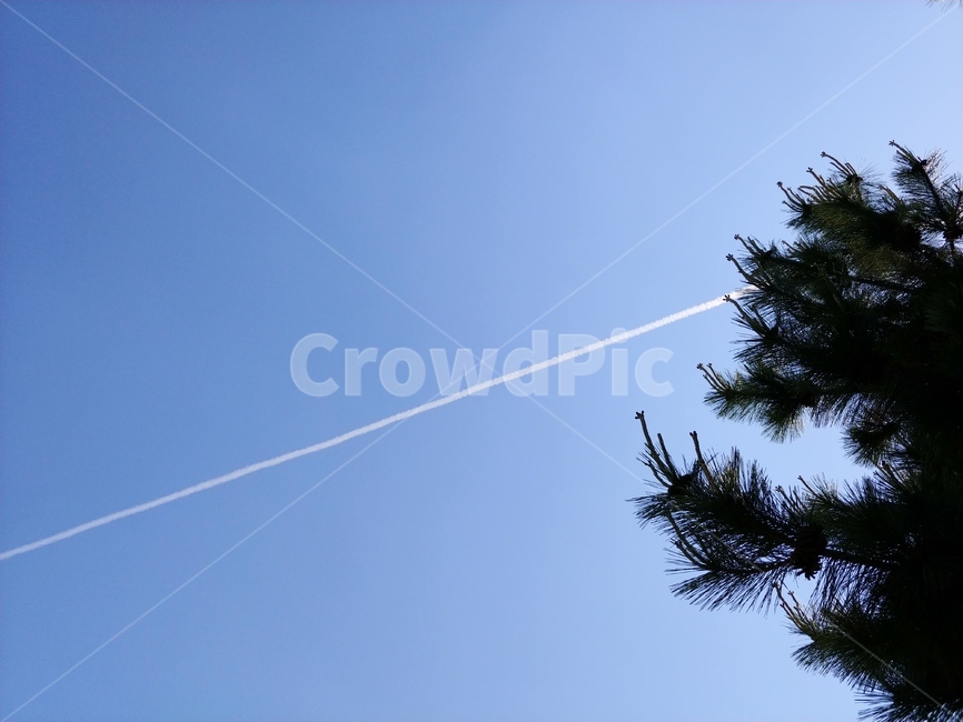 비행구름,비행기구름,하늘,비행운,구름