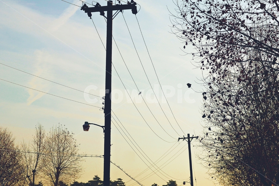 전봇대,감성,전깃줄,가로등,도시풍경,산업,industry,industrial,에너지산업,energy industry,utility pole,전신주,cable,케이블