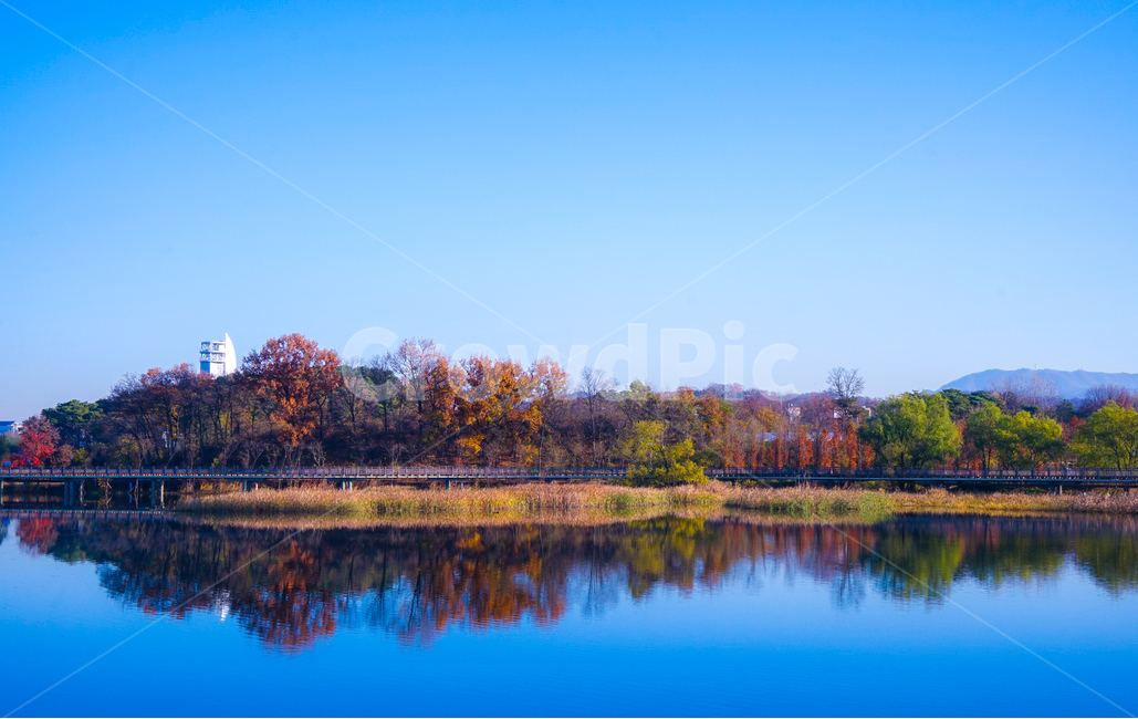 호수,수변,철로,다리,레일바이크로,가을,계절,반영,투영,가을,계절,fall,autumn,season,자연,풍경,nature,landscape,water,물,outdoors,옥외,lake