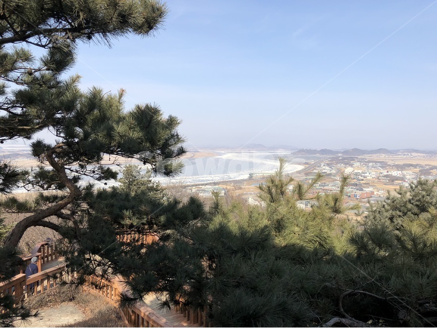 소나무,파주풍경,야산,푸른하늘,겨울산,파주,심학산,겨울,계절,winter,season,자연,풍경,nature,landscape,시골,마을,country,rural,town,plant,식물,tree,나무,fir,전나무