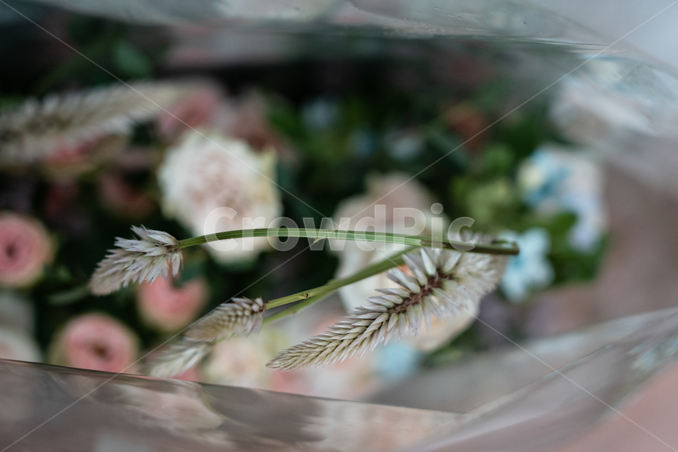 꽃,꽃꽂이,식물,flowers,botanical,꽃,flower