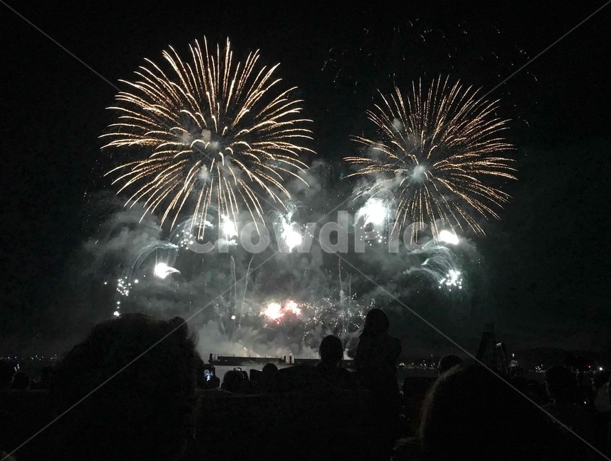 불꽃,해변,밤,불꽃놀이,fireworks,firecrackers,night,beach,summer,축제,festival,party,lights,야경,밤,풍경,nightscape,night,landscape,축제,행사,festival,carnival,event,nature,자연,outdoors,옥외