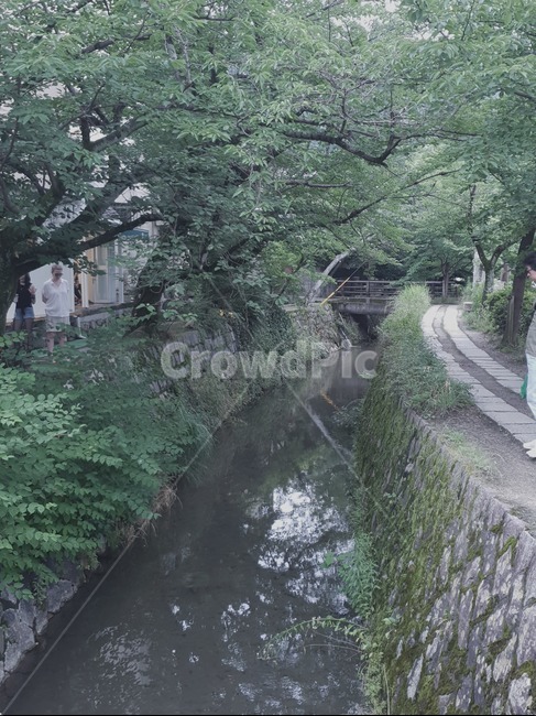 일본,일본거리,일본풍경,교토,교토신사,하천