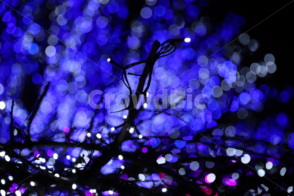장식,보캐,감성,불빛,LED,크리스마스,야경,밤,풍경,nightscape,night,landscape,light,빛,flare,플레어