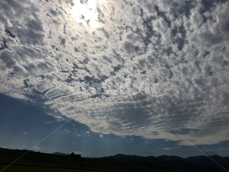 시골,길,하늘,구름,시골길,풀,자연,풍경,nature,landscape,weather,날씨,cumulus,적운,outdoors,옥외,cloud,sky