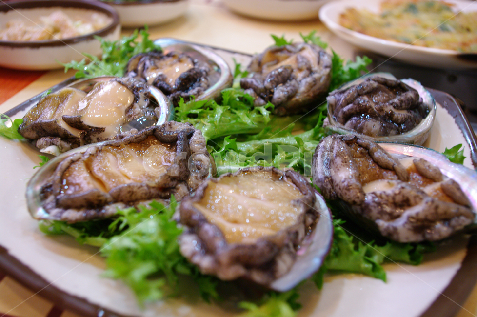 전복,해산물,요리,food,음식,음식,식재료,요리,food,cook,meal,dishes,food reserves,수산물,해산물,fishery products,seafood