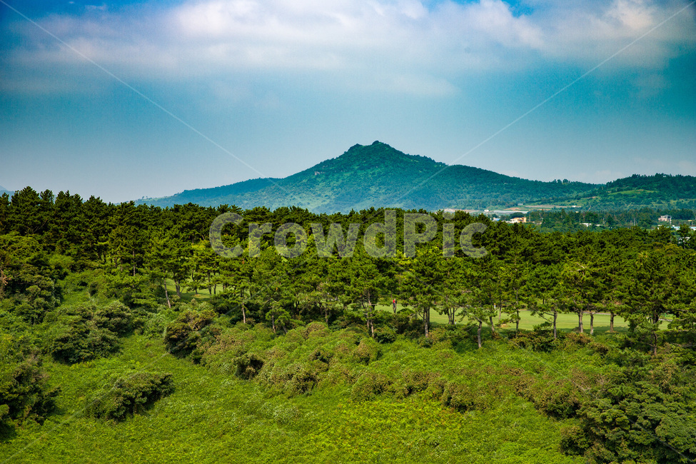 한라산,mountain,mountainrange,산맥,옥외,outdoors,자연,nature,제주도,자연,풍경,nature,landscape,한국자연풍경,한국자연경관,korea nature landscape,제주도,jeju,jeju island,mountain range,산