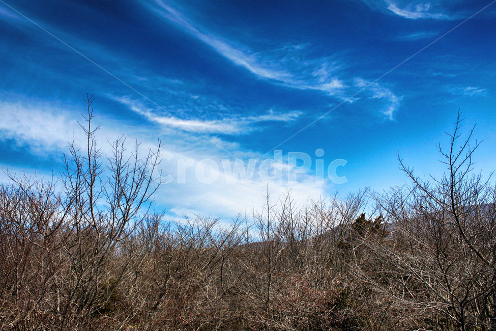 weather,날씨,cumulus,cloud,구름,nature,자연,outdoors,옥외,azuresky,푸른하늘,sky,하늘,자연,풍경,nature,landscape