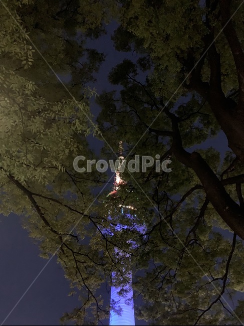 풍경,남산타워,하늘,전망대,감성,야경,밤,풍경,nightscape,night,landscape,랜드마크,landmark,tourist attraction,한국랜드마크,한국관광지,한국명소,korea landmark,korea tourist attraction,tree,나무,plant,식물