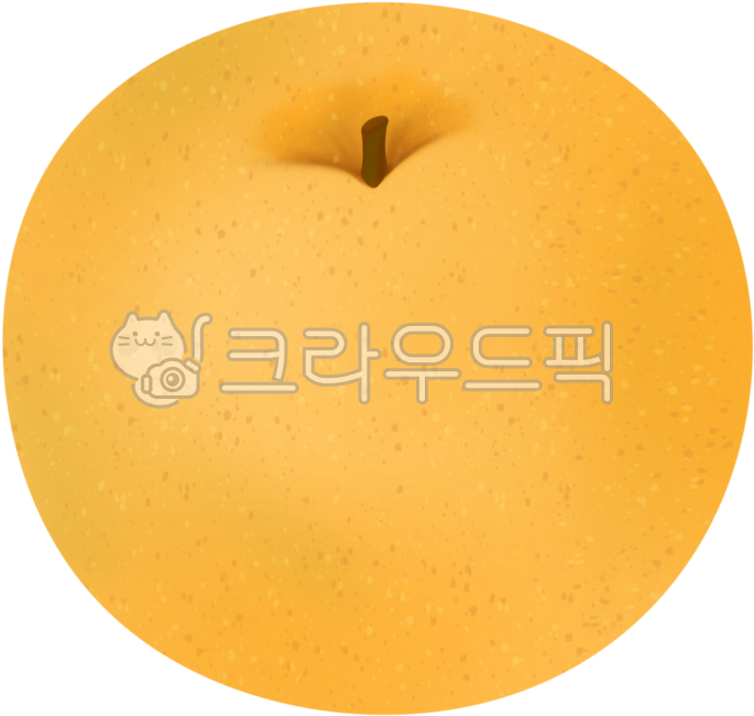 배, pear, 과일, 유기농, fruit, 사진,이미지,일러스트,캘리그라피 - mindeli작가