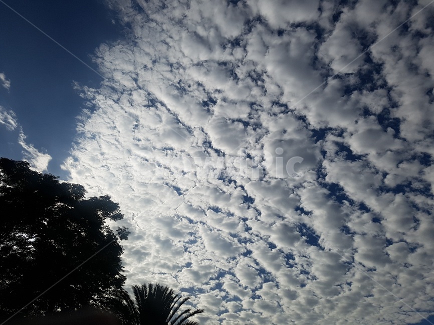 하늘,구름,cloud,sky,뭉게구름