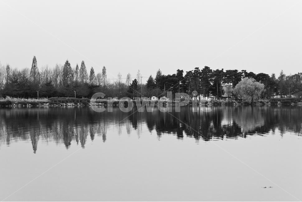 일산,호수공원,대칭,흑백,가을,water,물,nature,자연,outdoors,옥외